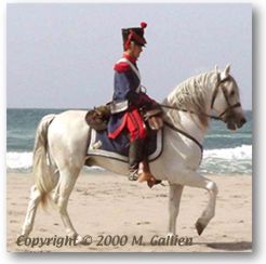 Mounted Soldier on beach.