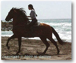 Natalia and Champion on the beach