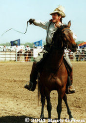 Anthony and whip