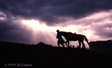 Cowboy At Sunset