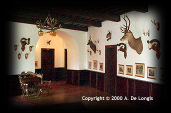 Hallway leading to the rooms