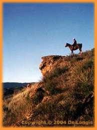 On the trail near Rancho Indalo